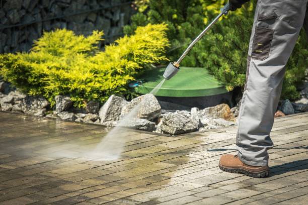 Best Gutter Cleaning  in Vassar, MI