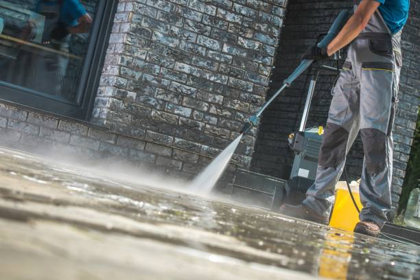 Best Pool Deck Cleaning  in Vassar, MI