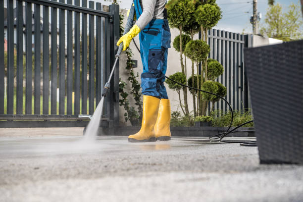 Vassar, MI Pressure Washing Pros